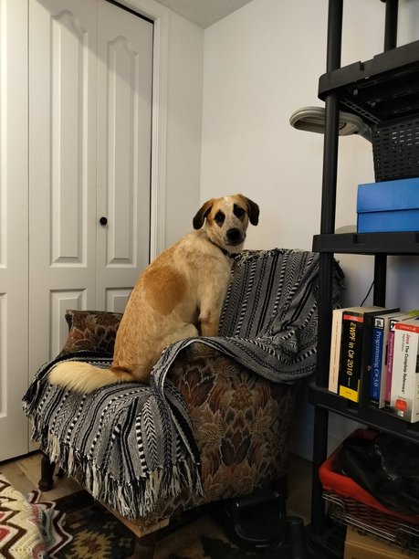 Holly sitting on a chair